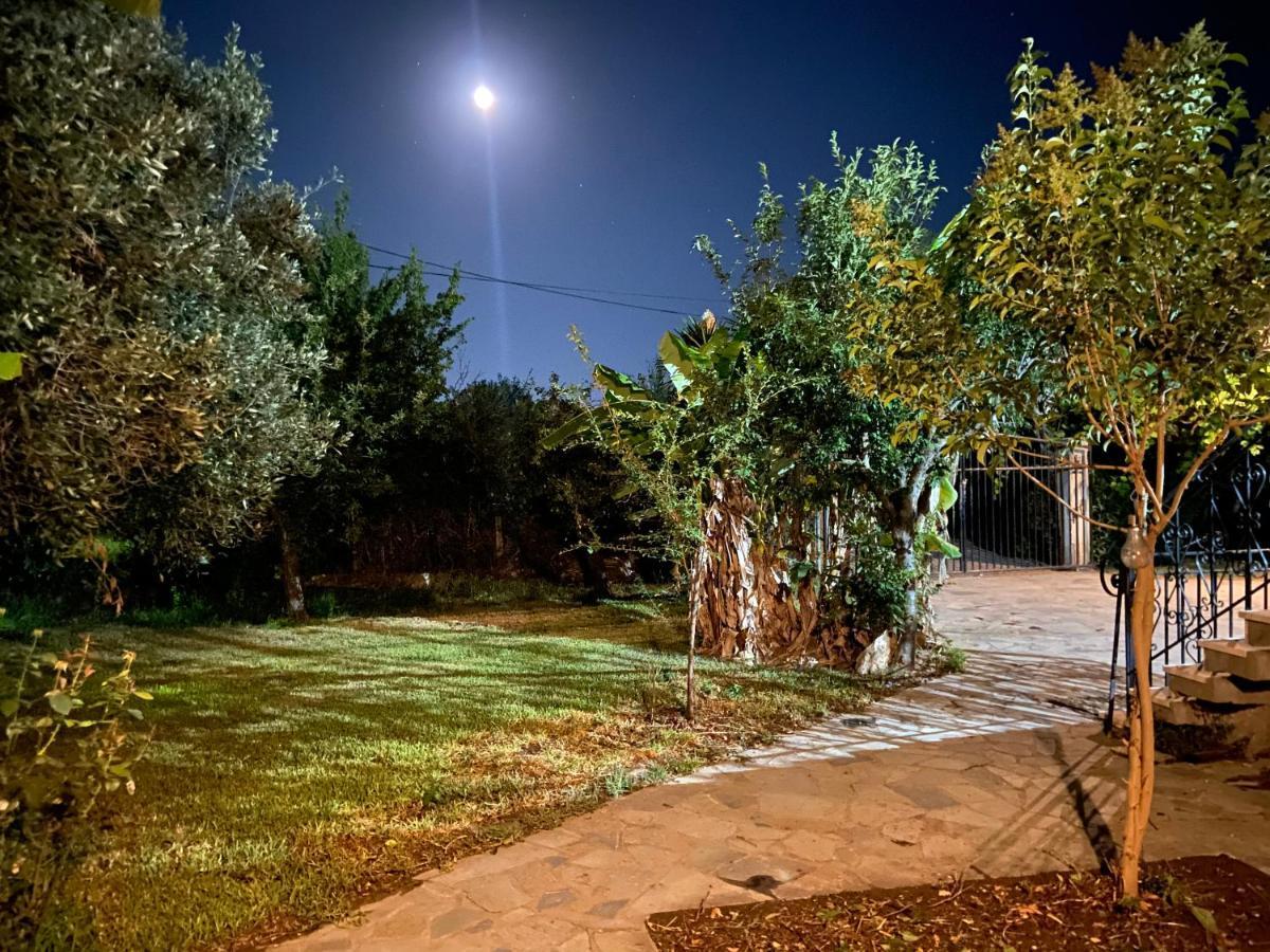 Cottage House,With Big Garden & Lawn Amaliada Exterior photo